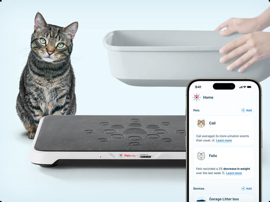 Revolutionary Smart Litter Box Monitor: Keep Your Cat Healthy with AI Technology