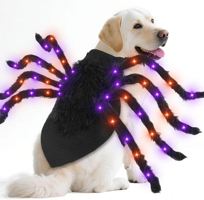Light-up spider dog costume with purple and orange LEDs
