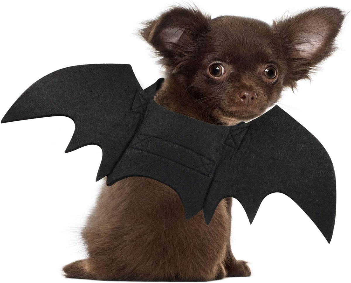 Adjustable black bat wings Halloween dog costume – product detail