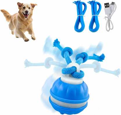 RoboBall™ motion-activated self-rolling dog toy