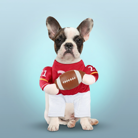 Football player dog costume branded hero shot