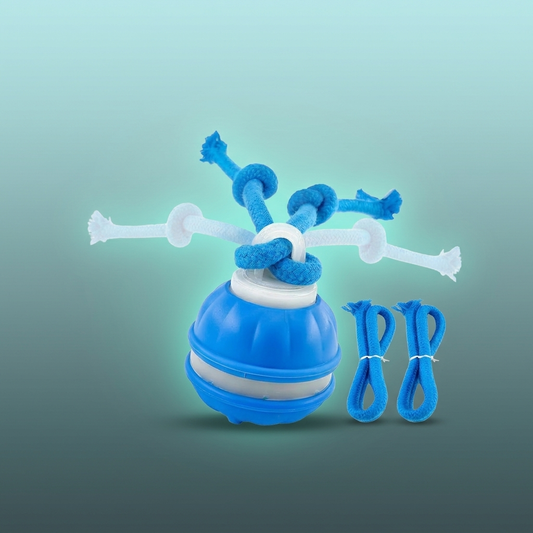 Vessel Tech RoboBall smart pet ball branded hero shot