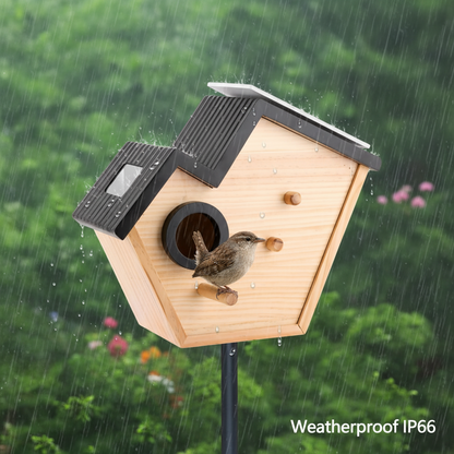 SkyWatch NestView 2K™ Solar AI Bird House Camera — 32GB Included