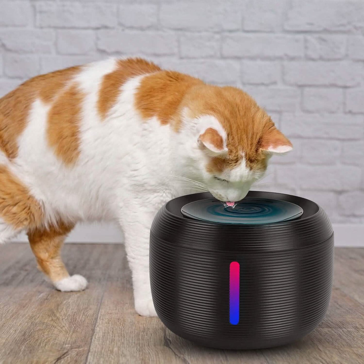 Vessel Tech black pet water fountain with cat drinking, side view